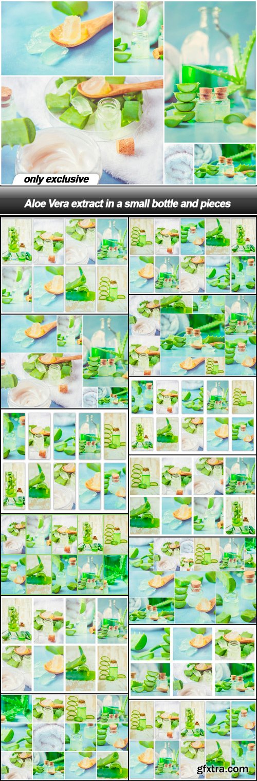 Aloe Vera extract in a small bottle and pieces - 13 UHQ JPEG