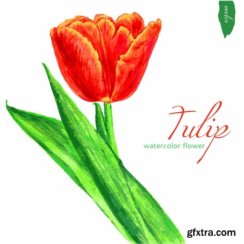 Collection of tulip snowdrop flower basket Spring warmth flyer banner card cover 25 EPS