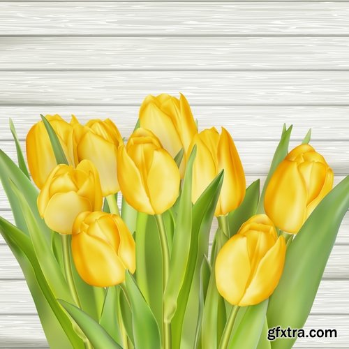 Collection of tulip snowdrop flower basket Spring warmth flyer banner card cover 25 EPS