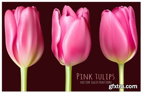 Collection of tulip snowdrop flower basket Spring warmth flyer banner card cover 25 EPS