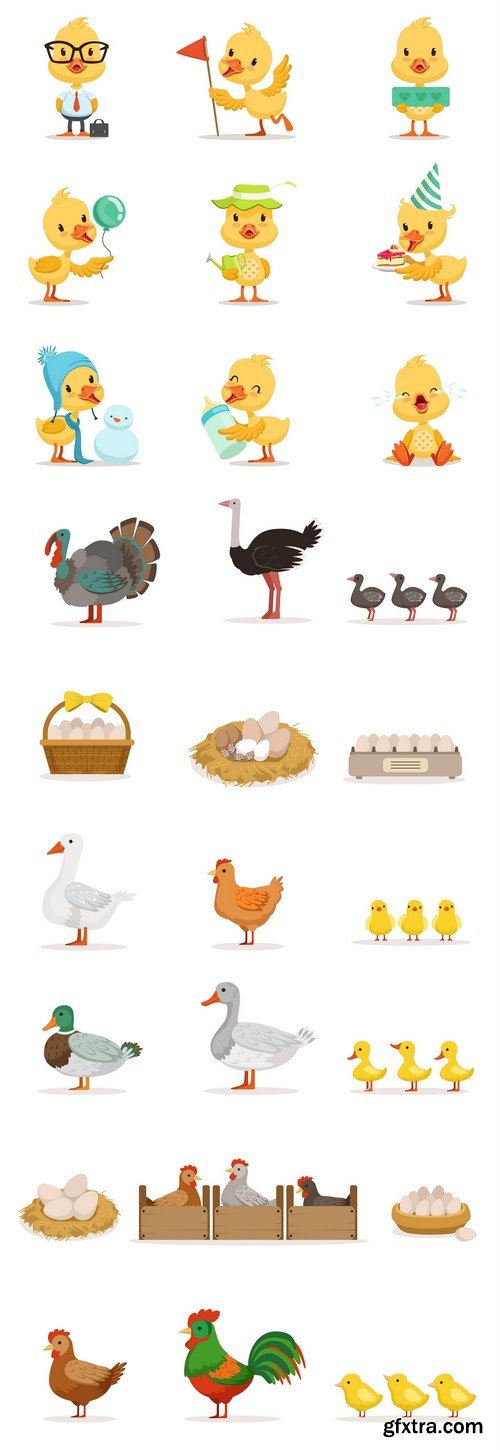 Farm poultry Chickens, ducks and geese 3X EPS