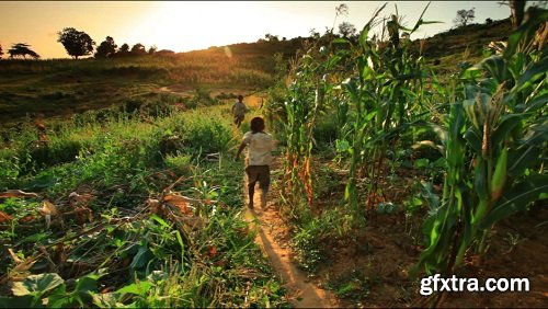 Two kids run through cornfield at sunset in africa