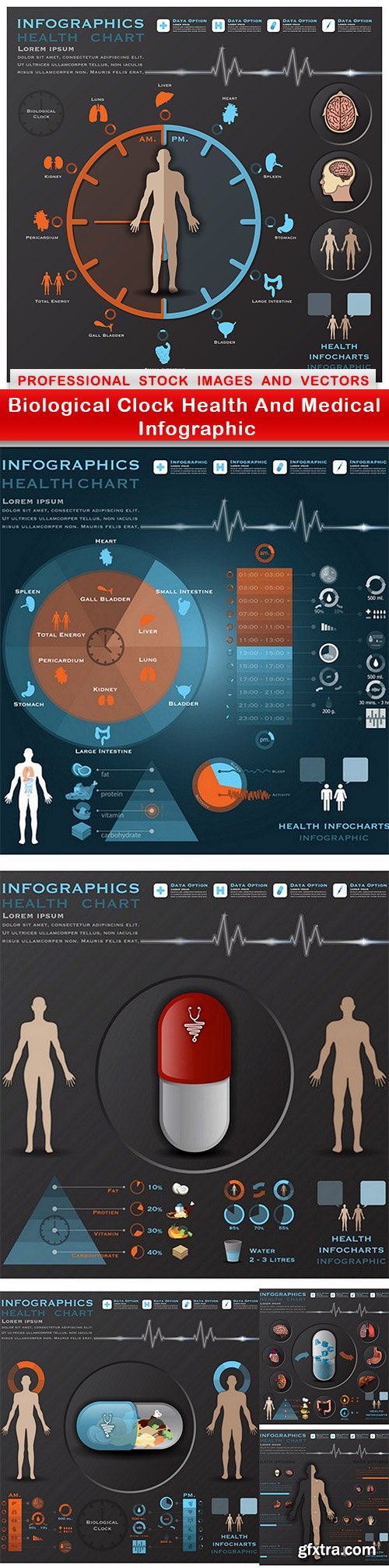 Biological Clock Health And Medical Infographic - 6 EPS