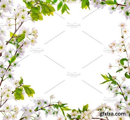 CM - 20 Flower Frame Templates 1256113