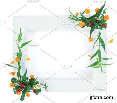 CM - 20 Flower Frame Templates 1256113