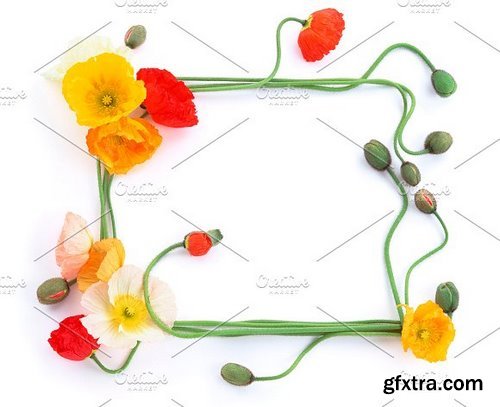 CM - 20 Flower Frame Templates 1256113