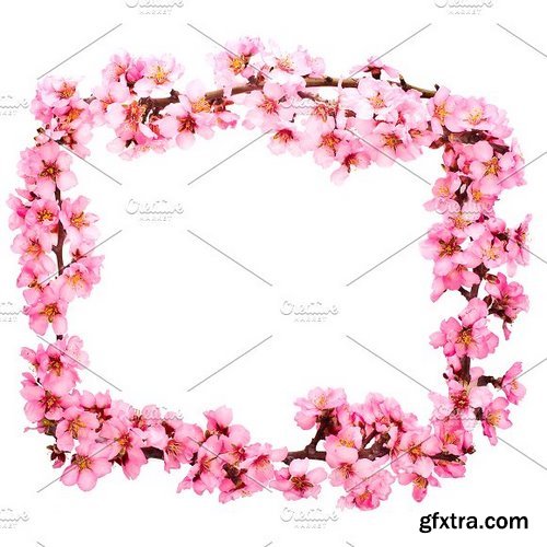 CM - 20 Flower Frame Templates 1256113