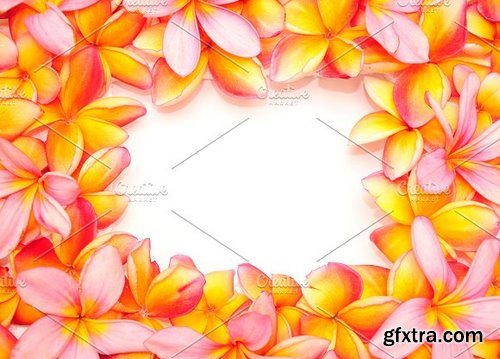 CM - 20 Flower Frame Templates 1256113