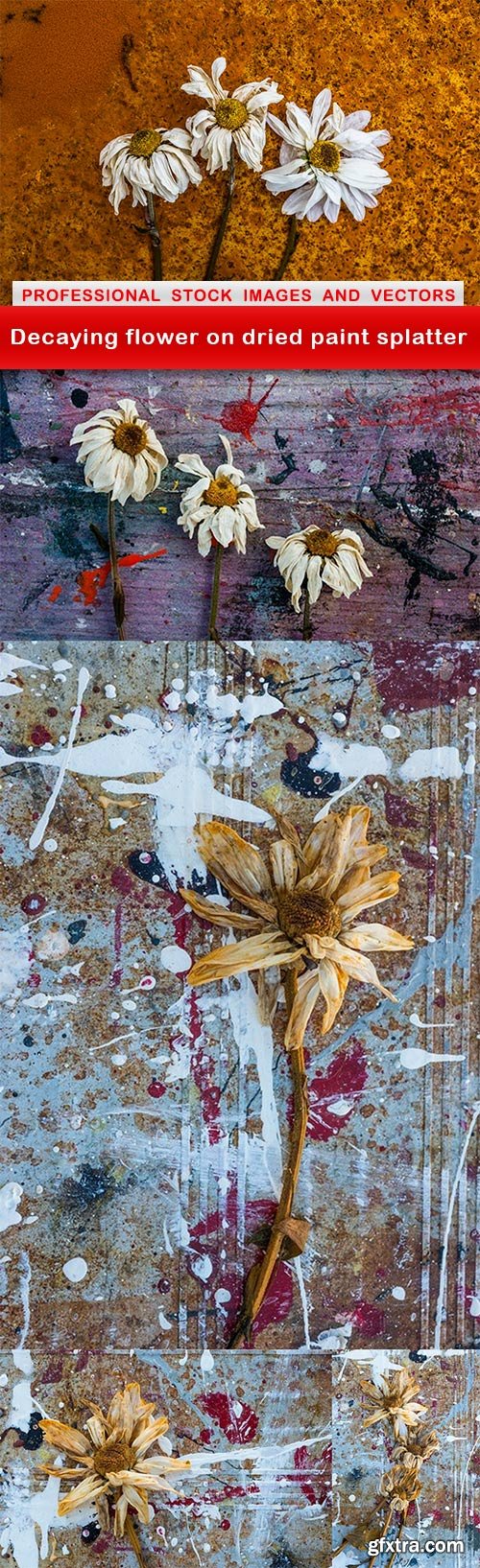 Decaying flower on dried paint splatter - 5 UHQ JPEG