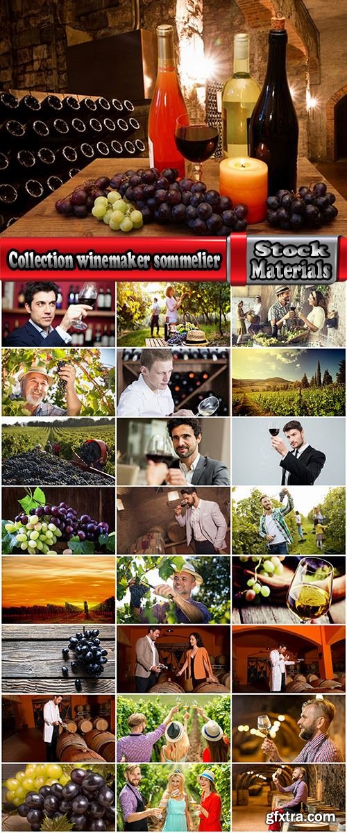 Collection winemaker sommelier grape vine juice barrel cellar 25 HQ Jpeg