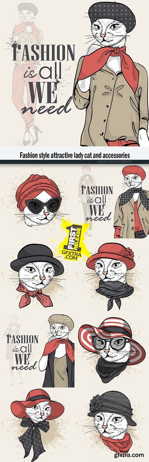 Fashion style attractive lady cat and accessories