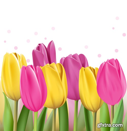 Spring vector background with tulips