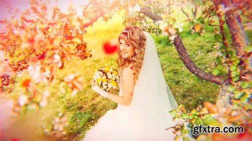 Videohive Wedding 19317903