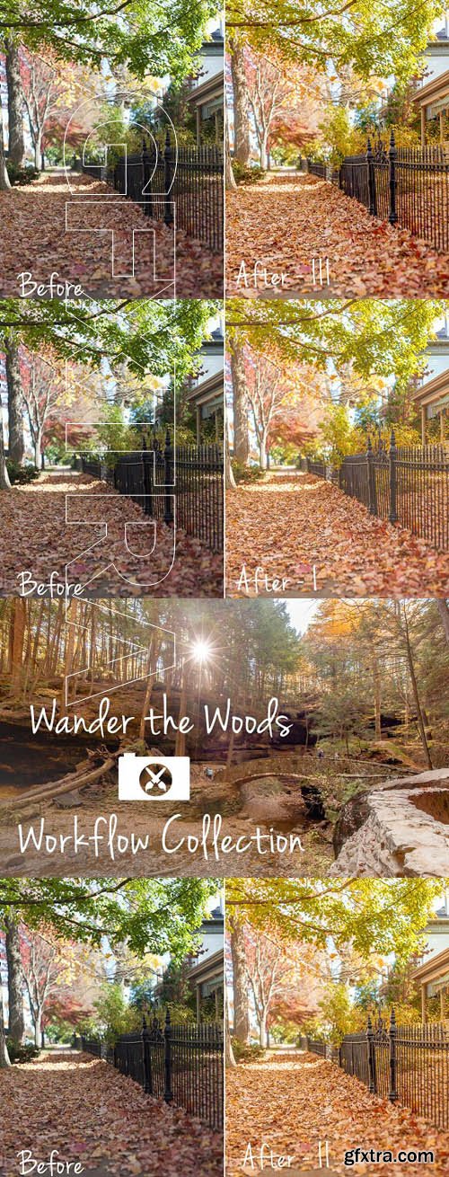 CM - Wander the Woods Workflow Collection 1288292