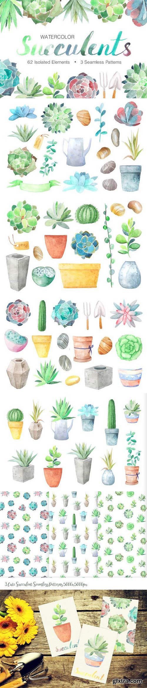 CM - Watercolor Succulents Collection 1254088