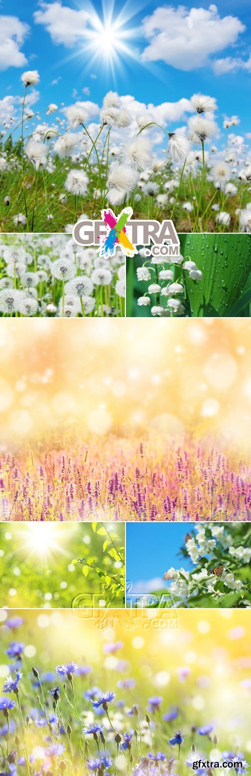 Stock Photo - Spring & Summer Nature