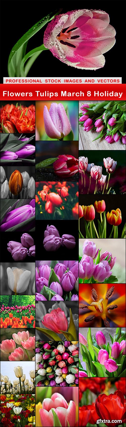 Flowers Tulips March 8 Holiday - 26 UHQ JPEG