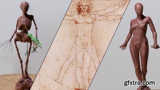 CGCookie - Introduction to Human Anatomy and Basic Proportions