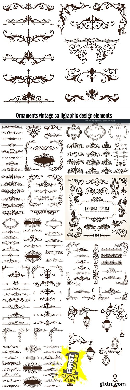 Ornaments vintage calligraphic design elements