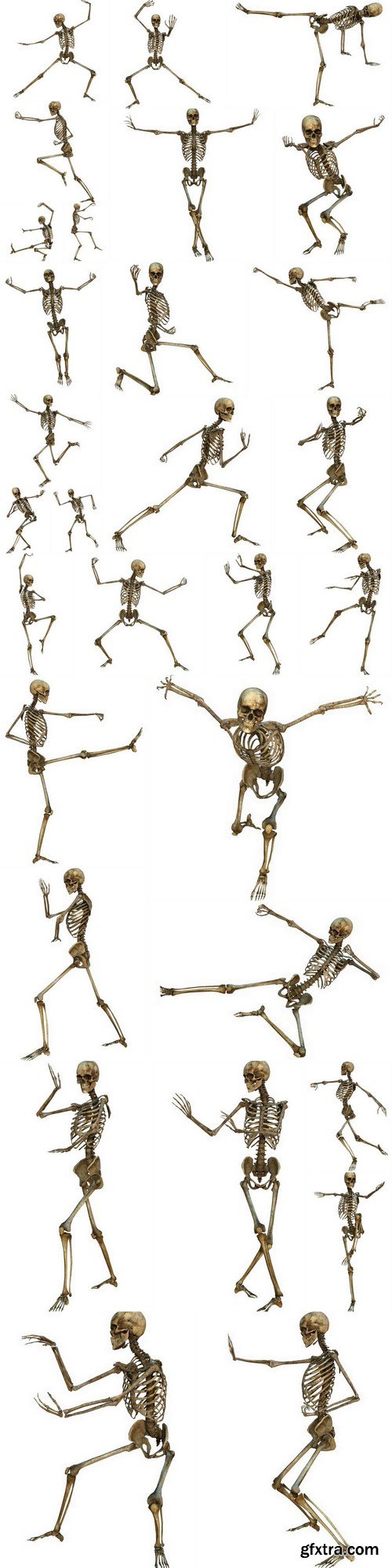 Skeleton - 30 UHQ JPEG