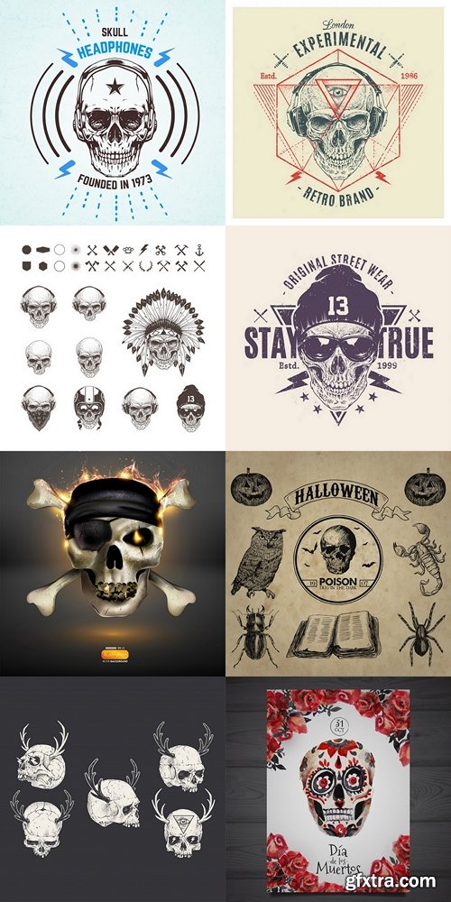 Different skulls collection Premium Vector