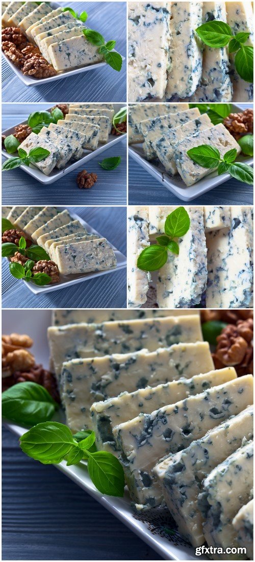 Cheese gorgonzola with basil 7X JPEG