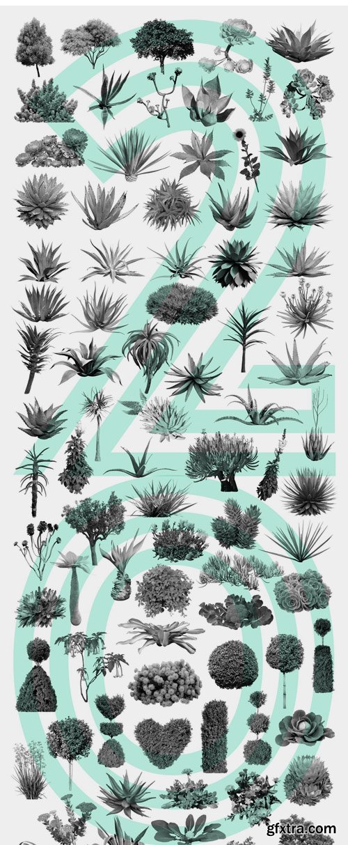 CM 1297047 - Plant Brushes v2