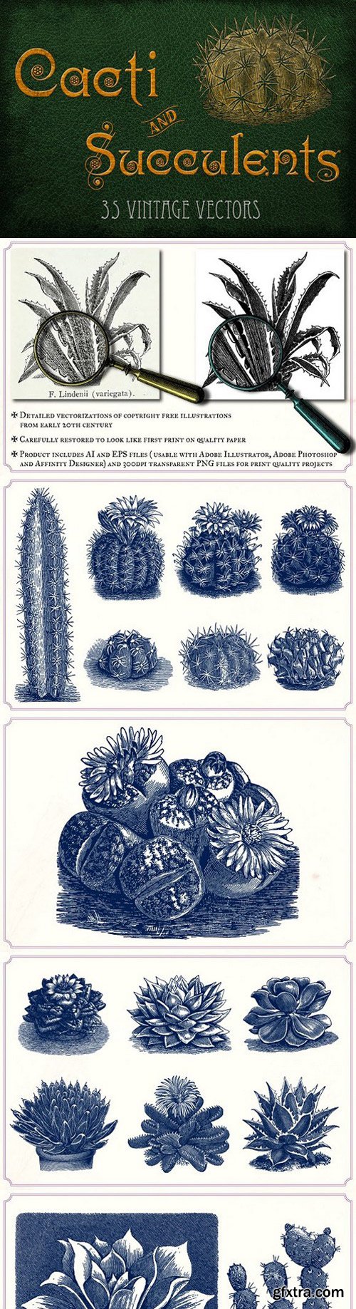 CM - Vintage Cacti and Succulents 1288797