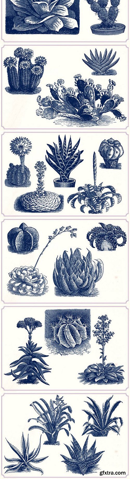 CM - Vintage Cacti and Succulents 1288797