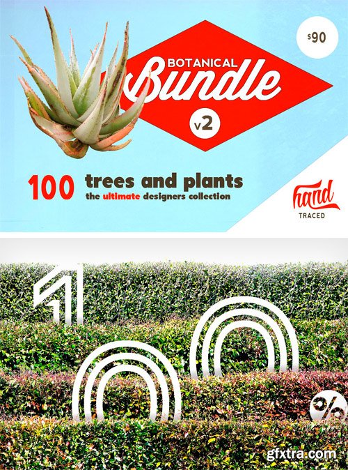 CM 1299918 - Botanical Bundle v2