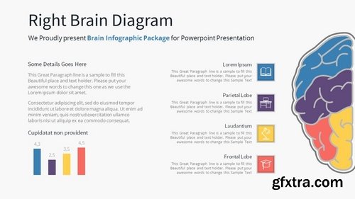 Brain Infographic - Slide Material