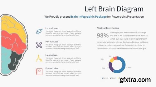 Brain Infographic - Slide Material