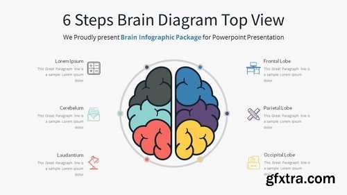 Brain Infographic - Slide Material