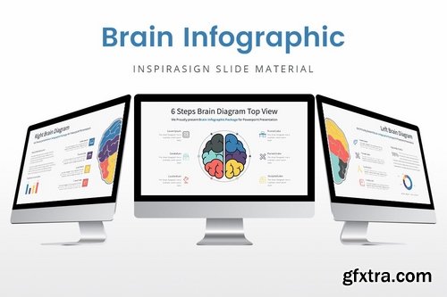 Brain Infographic - Slide Material