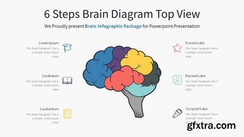 Brain Infographic - Slide Material