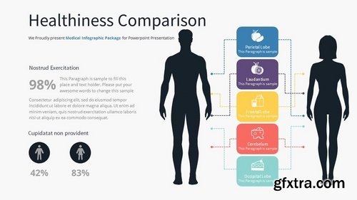 Medical Infographic - Slide Material