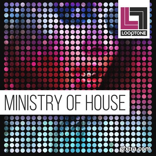 Looptone Ministry of House MULTiFORMAT-FANTASTiC