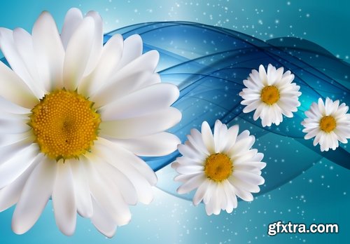 Collection daisy flower petal spring flyer banner frame background 25 EPS