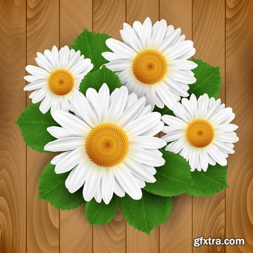 Collection daisy flower petal spring flyer banner frame background 25 EPS