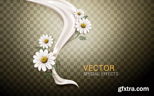 Collection daisy flower petal spring flyer banner frame background 25 EPS