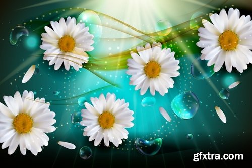 Collection daisy flower petal spring flyer banner frame background 25 EPS