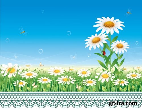 Collection daisy flower petal spring flyer banner frame background 25 EPS