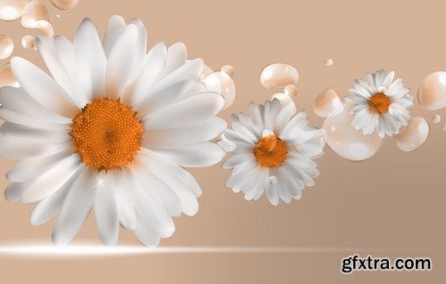 Collection daisy flower petal spring flyer banner frame background 25 EPS