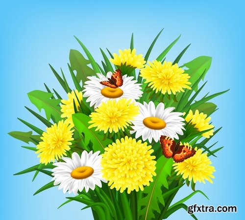 Collection daisy flower petal spring flyer banner frame background 25 EPS