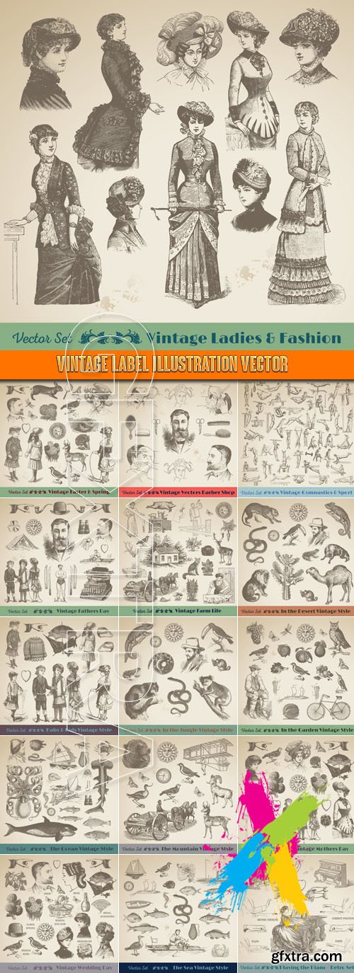 Vintage label illustration vector