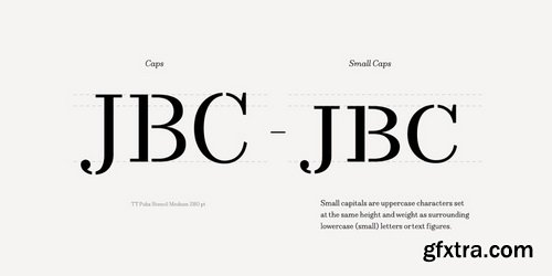 TT Pubs Font Family $210