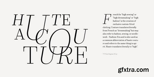 TT Pubs Font Family $210