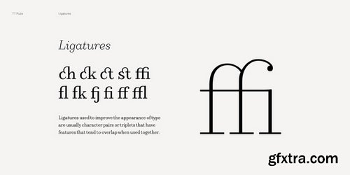 TT Pubs Font Family $210