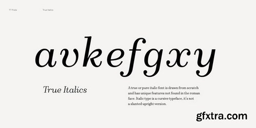 TT Pubs Font Family $210