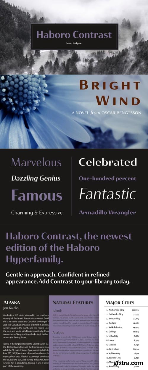 Haboro Contrast Font Family $222